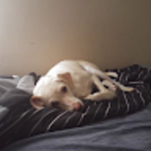 Meet your Posher, Jan michael